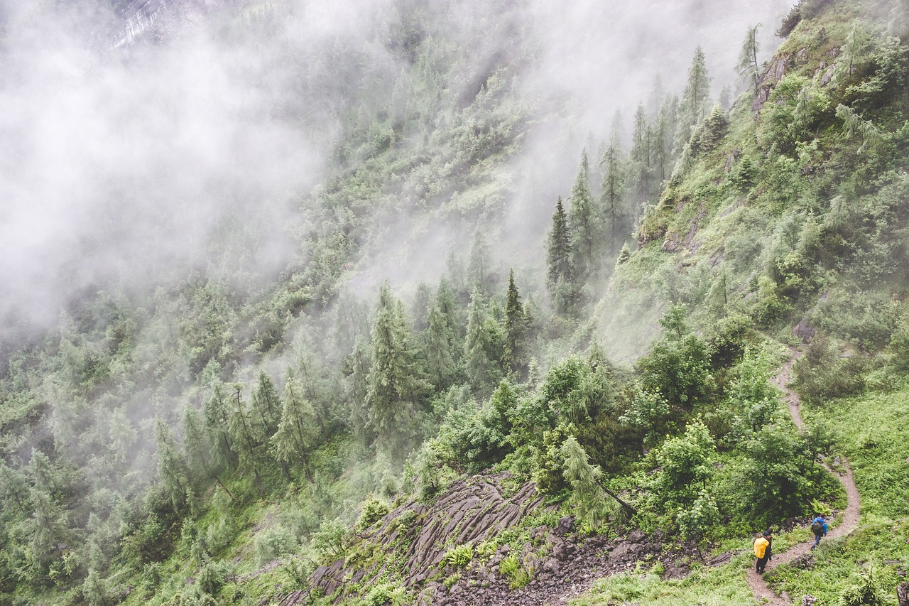 汽車與黃山，獨(dú)特之旅的融合體驗(yàn)