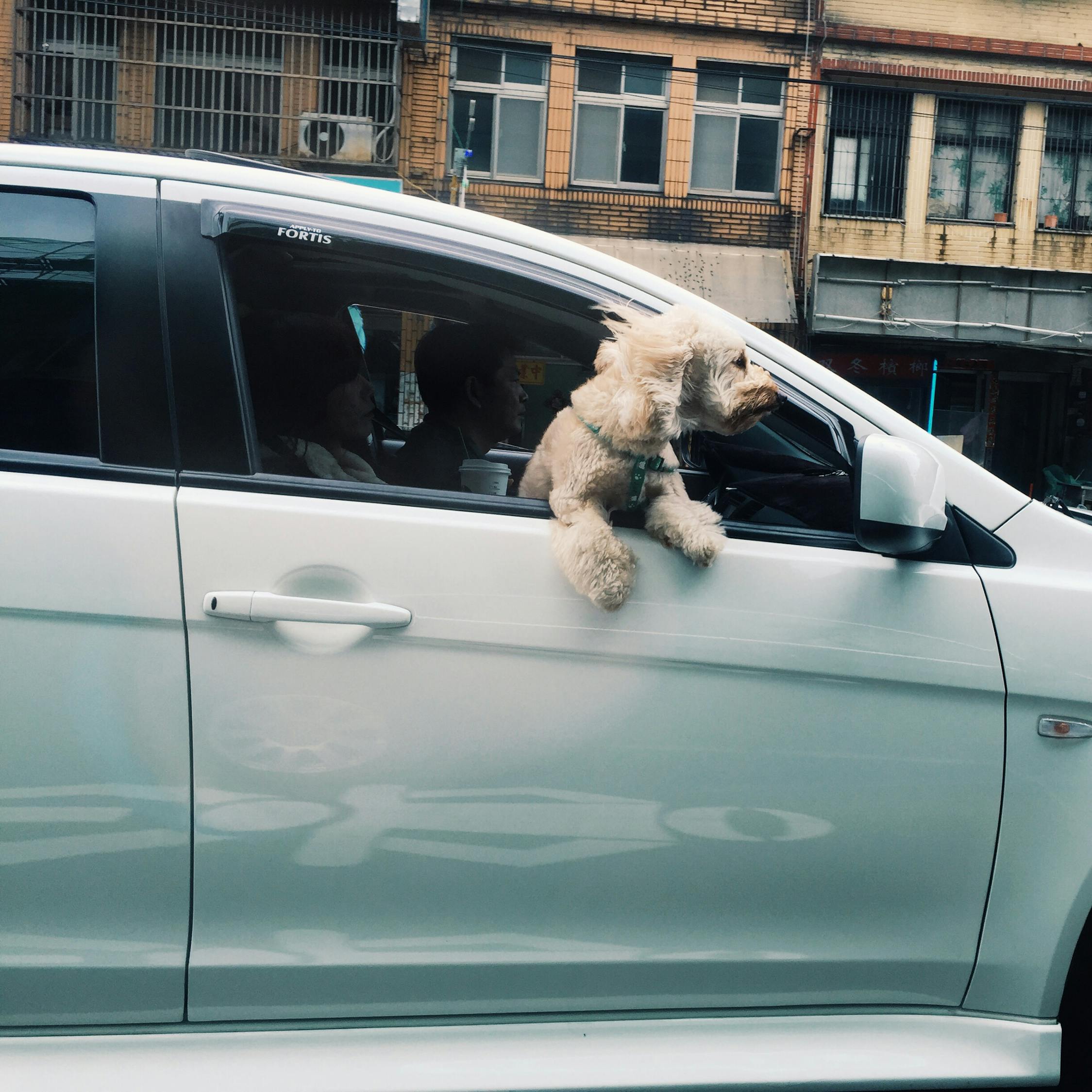 車內(nèi)必備，腳墊后排座，舒適度與實(shí)用性的完美結(jié)合