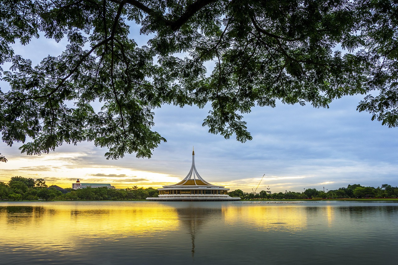 深圳回鄉(xiāng)之旅，二月的溫暖歸途